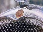 Thumbnail Photo 6 for 1926 Chrysler G 70