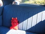 Thumbnail Photo 4 for 1937 Chevrolet Other Chevrolet Models
