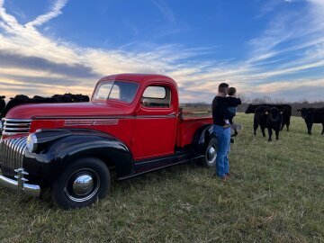 1946 Chevrolet Pickup