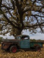 Thumbnail Photo 2 for 1949 Ford F3