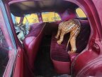 Thumbnail Photo 3 for 1949 Plymouth Special Deluxe