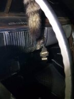 Thumbnail Photo 5 for 1950 Chevrolet Fleetline