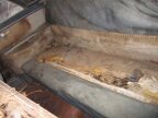 Thumbnail Photo 1 for 1951 Chevrolet Bel Air