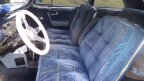 Thumbnail Photo 2 for 1951 Ford Other Ford Models
