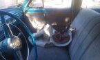 Thumbnail Photo 2 for 1951 Plymouth Cranbrook