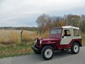 1951 Willys CJ-3A
