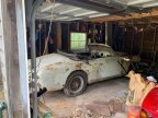 Thumbnail Photo 5 for 1952 Alfa Romeo 1900