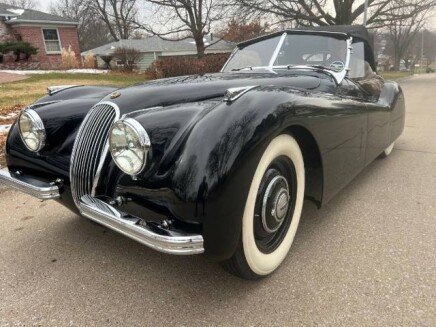 Photo 1 for 1952 Jaguar Other Jaguar Models