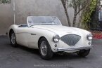 Thumbnail Photo 2 for 1953 Austin-Healey 100