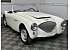 1953 Austin-Healey 100 4 BN1