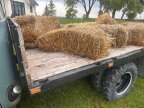 Thumbnail Photo 4 for 1953 Ford F350 for Sale by Owner