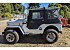 1953 Jeep CJ-3B
