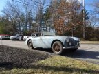 Thumbnail Photo 4 for 1954 Austin-Healey 100