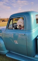 1954 Chevrolet 3100