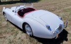 Thumbnail Photo 3 for 1954 Jaguar XK 120