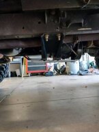 Thumbnail Photo 2 for 1954 Jeep CJ-3B