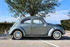 Thumbnail Photo 1 for 1954 Volkswagen Beetle