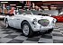 1955 Austin-Healey 100