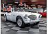 1955 Austin-Healey 100