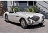 1955 Austin-Healey 100