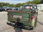 Thumbnail Photo 5 for 1955 Dodge C-3B Series