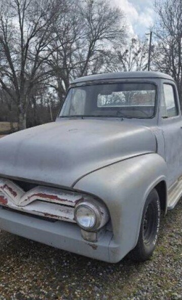 1955 Ford F100