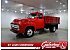 1955 Ford F350