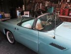Thumbnail Photo 6 for 1955 Ford Thunderbird