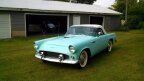 Thumbnail Photo 3 for 1955 Ford Thunderbird
