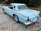 Thumbnail Photo 3 for 1955 Ford Thunderbird