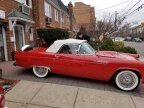 Thumbnail Photo 2 for 1955 Ford Thunderbird