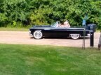 Thumbnail Photo 1 for 1955 Ford Thunderbird