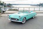 Thumbnail Photo 1 for 1955 Ford Thunderbird