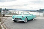Thumbnail Photo 2 for 1955 Ford Thunderbird