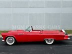 Thumbnail Photo 5 for 1955 Ford Thunderbird