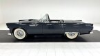 Thumbnail Photo 3 for 1955 Ford Thunderbird