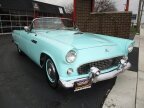 Thumbnail Photo 4 for 1955 Ford Thunderbird