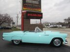 Thumbnail Photo 6 for 1955 Ford Thunderbird