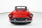 Thumbnail Photo 4 for 1955 Ford Thunderbird