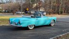 Thumbnail Photo 4 for 1955 Ford Thunderbird