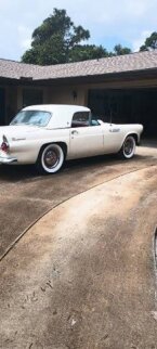 Thumbnail Photo 1 for 1955 Ford Thunderbird