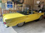 Thumbnail Photo 6 for 1955 Ford Thunderbird