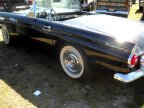 Thumbnail Photo 5 for 1955 Ford Thunderbird