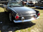 Thumbnail Photo 4 for 1955 Ford Thunderbird