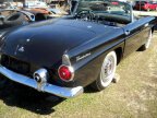 Thumbnail Photo 3 for 1955 Ford Thunderbird