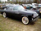 Thumbnail Photo 6 for 1955 Ford Thunderbird