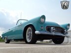 Thumbnail Photo 6 for 1955 Ford Thunderbird