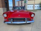 Thumbnail Photo 6 for 1955 Ford Thunderbird