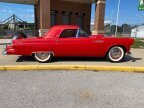 Thumbnail Photo 4 for 1955 Ford Thunderbird