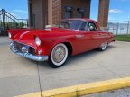 Thumbnail Photo 1 for 1955 Ford Thunderbird